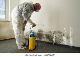 Best Water Damage & Mold Remediation  in Silver Springs Shores, FL